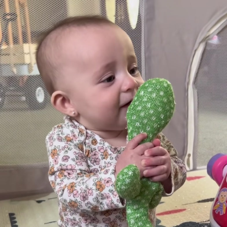 Dancing Cactus - Viral Mimicking and Talking Toy