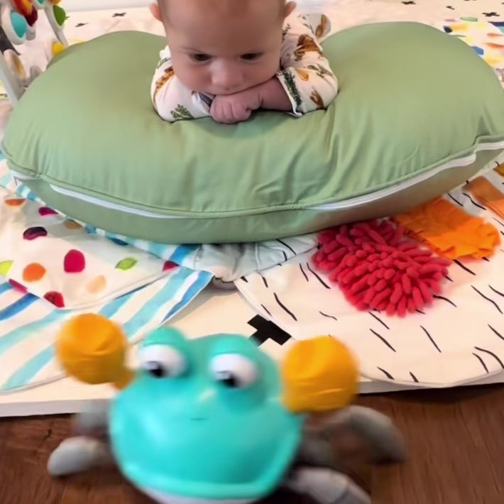 Crawly Crab - Viral Crawling Crab Toy